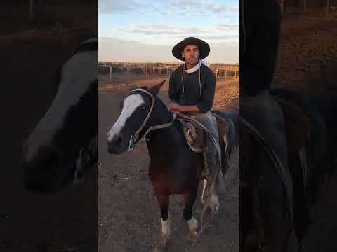 Jineteadas en Viamonte Cba.