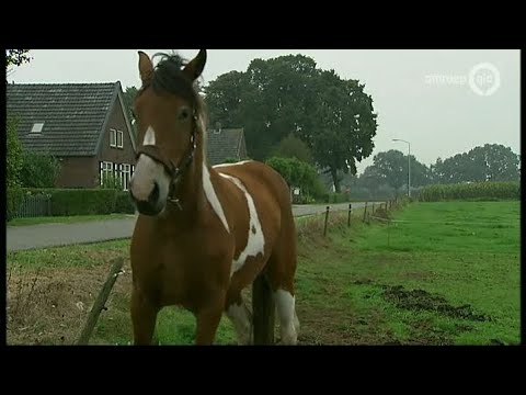 BuitenGewoon 15 oktober 2013