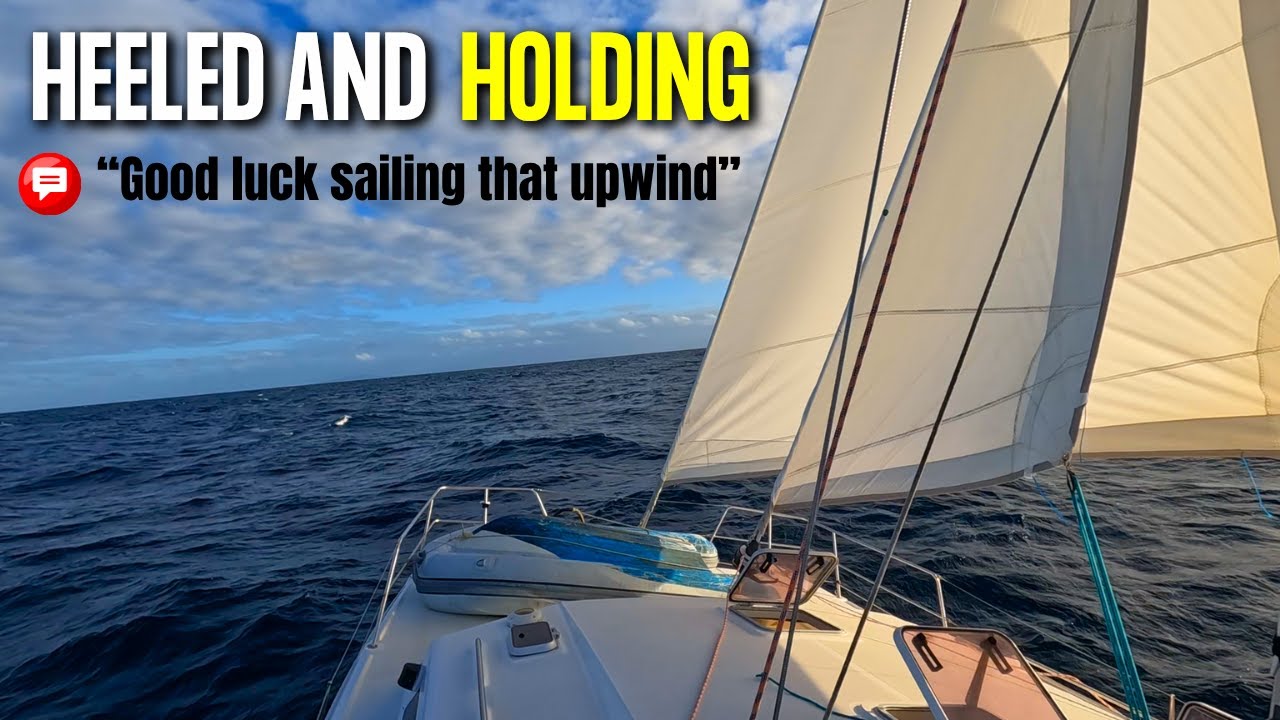 "Defying The Doubters" Punching Our Cat Upwind!