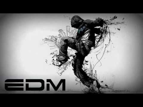 New Electro & House 2013 Best Of EDM Mix