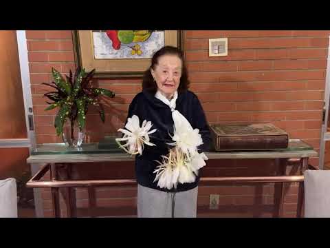 Knitting lesson by Leda Penna - lesson 158 - "Midnight Flower"