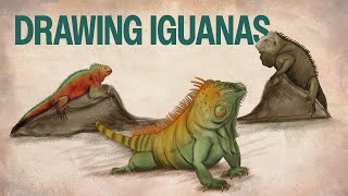 Iguana Studies for Creature Design Inspiration