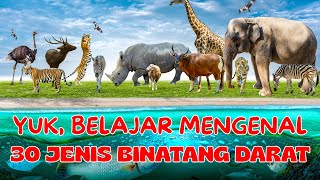 Download lagu LEARN THE NAMES OF LAND ANIMALS | GET TO KNOW TYPES OF ANIMALS | TYPES OF LAND ANIMALS | CUTE ANI... mp3