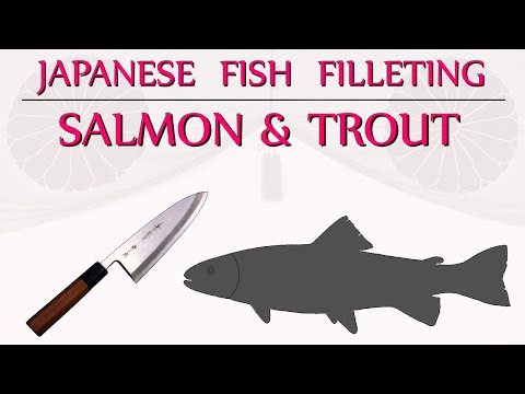Japanese Filleting Technique: trout / salmon with a deba