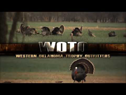 woto-turkey-hunting