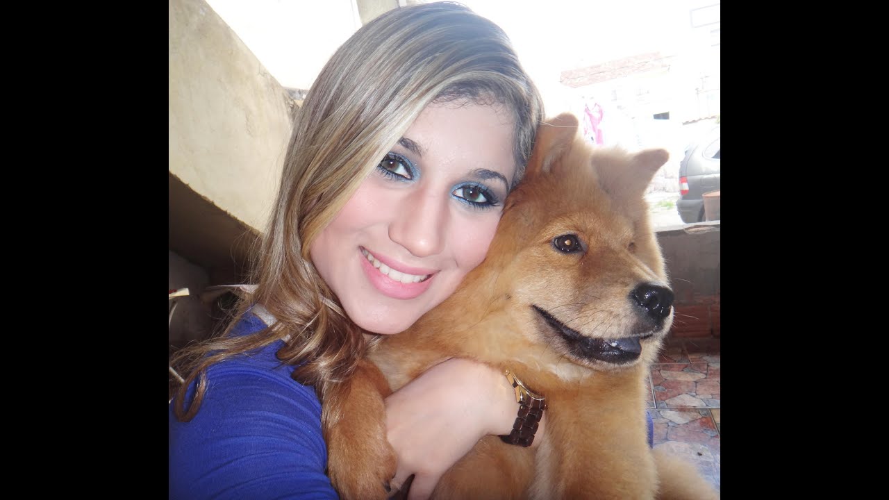 Vantagens e desvantagens em ter um chow chow :)