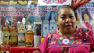 EXPLICACIÓN DEL MEZCAL DE OAXACA #méxico que debes conocer !! 👍 excelente #mezcal #agave #fim #mx