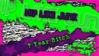 Hip Like Junk - 7 Year Bitch Karaoke Version