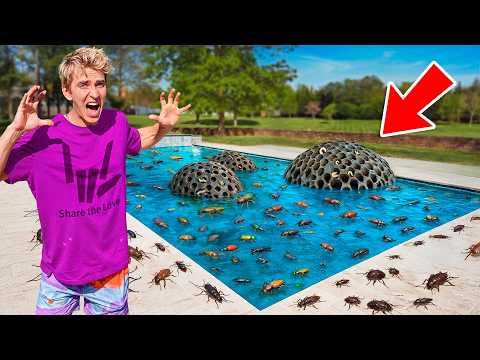 There's a Massive INFESTATION In My Pool!