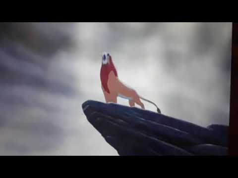 Alex vs Simba - Roar Contest