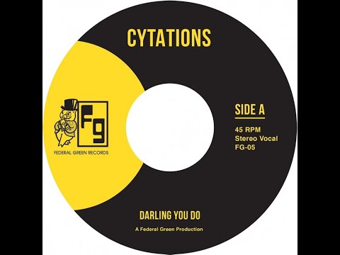 CYTATIONS  - DARLING YOU DO | SOUL SAMPLES