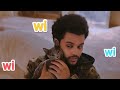 WI WI WI Cat Blinding Lights The Weeknd Wiwiwi Fect Meow Mix Viral Cat Cover