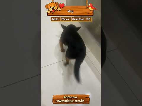 Vídeo de Meg