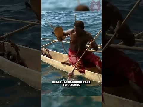 Hiu vs manusia! #shorts #faktaunik