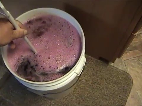 download lagu mp3 mp4 How To Make Homemade Blueberry Wine, download lagu How To Make Homemade Blueberry Wine gratis, unduh video klip How To Make Homemade Blueberry Wine
