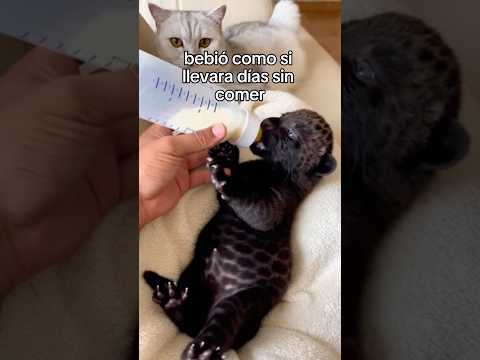 Su propia madre no la quería 💔