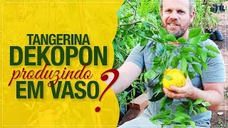 Miniatura do vídeo