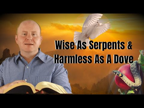 Wise As Serpents And Harmless As a Dove