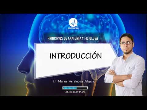 CURSO DE ANATOMÍA Y FISIOLOGÍA / TEMA 1: INTRODUCCIÓN