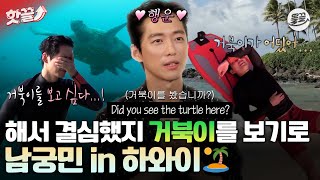 [#핫끌] "알잖소. 내가 원하는 거 딱 한 가지뿐이지. 하와이 거북🐢" 궁민 배우 남궁민의 하와이 출장 모음집🏝️ #남궁민 #나혼자산다 #연인