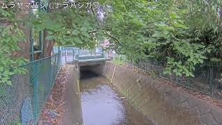 村山橋映像監視局