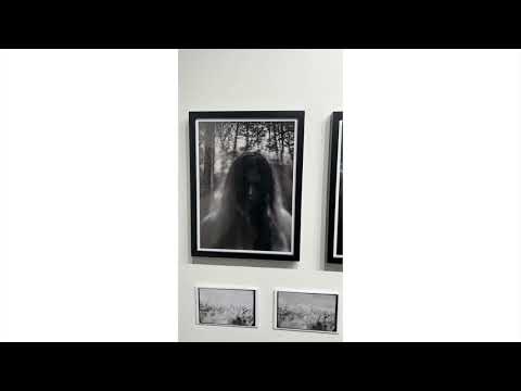 <p>#805 (in)Visible</p>