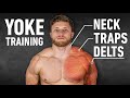 YOKED: The Ultimate Trap, Neck and Delt Workout (Science-Based)