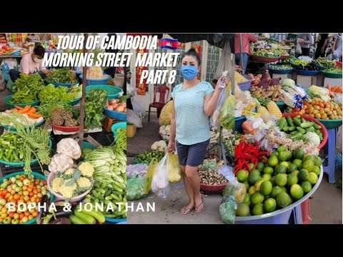 Morning Street Market 🇰🇭 Tour of Cambodia Part 8 2022 Fresh Veggies for Nom Bon Chok