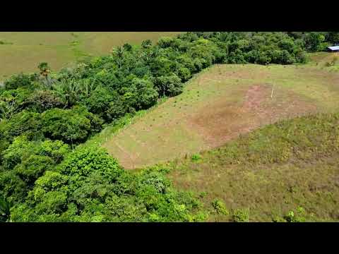 🚁 Predio VillaLaMar – Vereda Morichito 2023 | Monitoreo Agroambiental y Conservación 🌱🌳