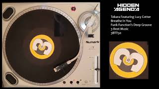 Tekara - Breathe In You (Funk Function's Deep Groove)