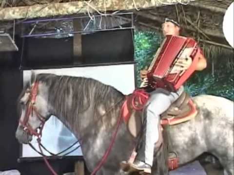 Tostão & Convidados - Sanfona Brasileira