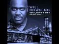Will Downing - Shades