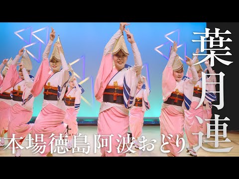 集団美が際立つ！葉月連の阿波おどり