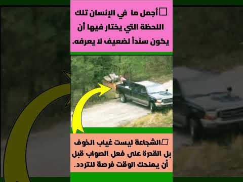 ثواني من الشجاعة! إنقاذ صغار الدب قبل وصول الأم الغاضبة 😱🔥 #shorts #short