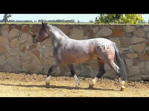 LOTE 40 Reservado da Santa Fe