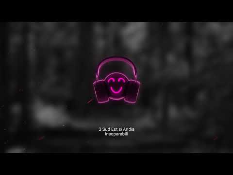 🎜3 Sud Est si Andia - inseparabili 👫 | Slowed & Reverb 🎜