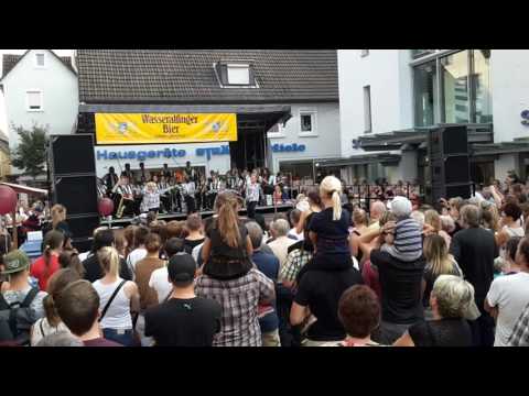 One Peace - TSV Dewangen - Reichsstädter Tagen 2016