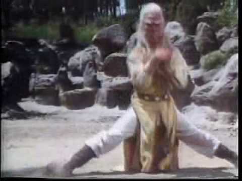 kung fu seven steps of kung fu