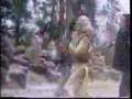 Kung Fu Seven Steps Of Kung Fu