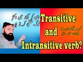 Verbs Transitive And Intransitive Verbs Similarity Differences