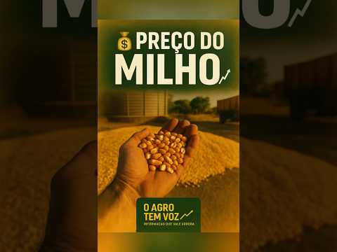 Mercado do Milho – O Agro Tem Voz