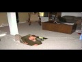 Compilation Of Fake Photos 1