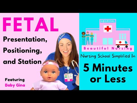 ✅ Fetal Positions, Presentation, & Station ✅ Explained in 5 Minutes or Less