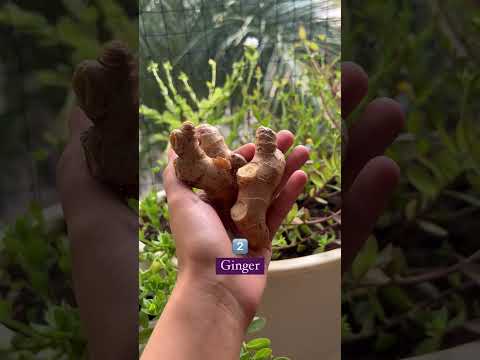 5 FOODS TO REDUCE INSULIN RESISTANCE|@besugarfit