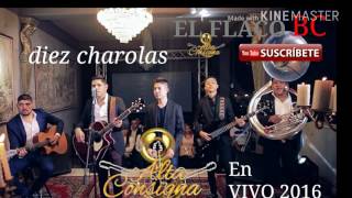 Alta consigna - díez charolas 2016