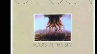Roots in the Sky - Oregon