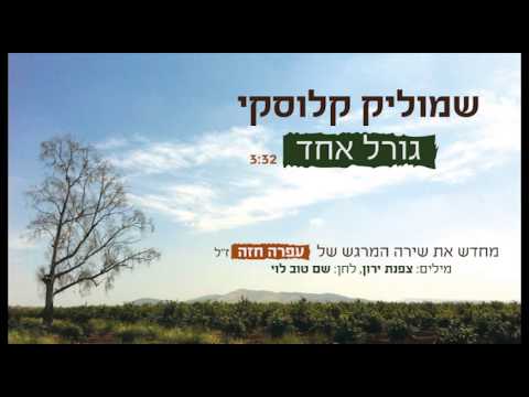 גורל אחד - שמוליק קלוסקי