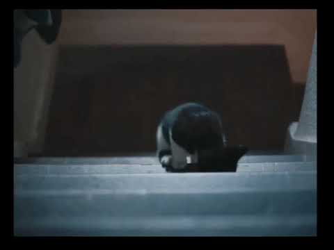 Precious Weeks - The Electrical Life of Louis Wain (2021) Clip