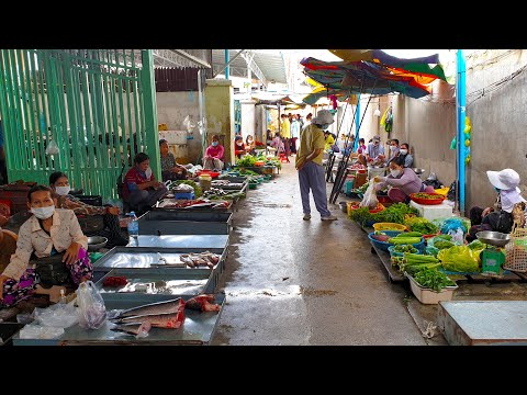 Fresh Food Compilation  - A Walk Around Market Food In Phnom Penh @Dem Thkouv Market