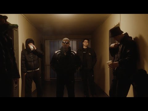 Dante YN - 440 Babys